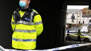 LATEST on the investigation into fatal suspected hit and run in Newbridge