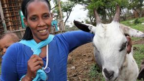 Laois shoppers! Why not give a life-changing 'virtual' gift this Christmas 