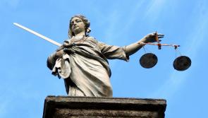 Laois Offaly TD denies bullying allegations