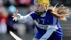 Laois Camogie team named for opening championship clash