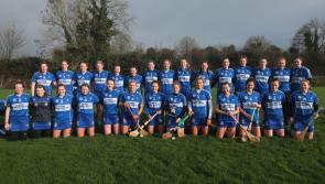 Laois Camogie just 60 minutes away from All Ireland final