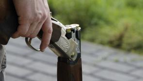 EU ban on use of lead ammunition in wetland areas a 'breakthrough for wildlife' in Ireland 