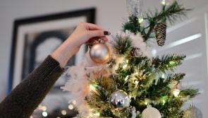 POLL: Laois people! Have you put your Christmas tree up yet?