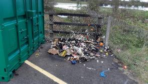 Laois council to outsource collection of hundreds of tonnes of rubbish dumped in county