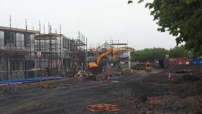 Directly built council homes costing less suggested by Laois Fine Gael councillor