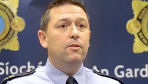 Laois Offaly garda warns households about fake gardaí