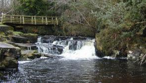 Man was drunk at Laois bathing spot