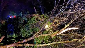 Garda make Storm Barra plea: 'No unnecessary journeys' 