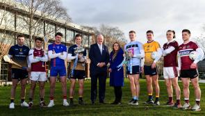 Laois GAA stars to miss out on Colleges GAA for 2021