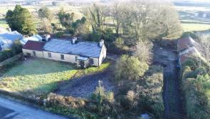 Looking for a renovation project? This three-bed fixer-upper on a large site is on the market for €60k