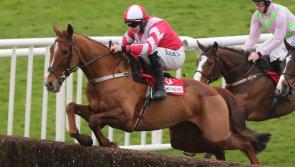 Mullins' Acapella Bourgeois heads the weights for the Goffs Thyestes Handicap Chase later this month
