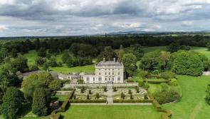 Early bird tickets for Family Day at billionaire's Laois mansion go on sale this week