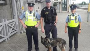 Laois Kildare drug addicts using trains to get Covid-19 Dublin lockdown fix 