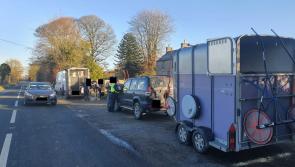 Arrests and fines for sulky' racers stopped in Portlaoise by Laois Gardaí on Covid-19 beat