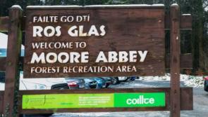 Call for CCTV and more signage at Moore Abbey woods 