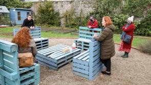 Switch onto everyday community-driven climate action  in Laois on Facebook live from Abbeyleix