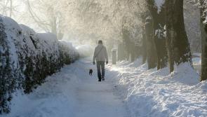 Snow Ready: 10 tips to avoid slips, trips and falls in ice and snow 