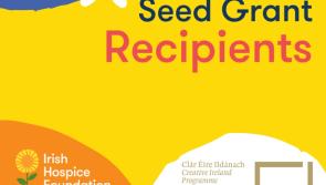Seed Grants: 11 projects from eight counties selected to support creativity in the community during Covid-19