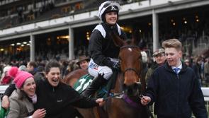 Expert verdicts promised at Cheltenham Virtual Preview Night in aid of Midlands Simon Community