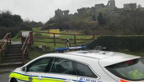 BREAKING: Pedestrian dies at foot of Laois landmark near busy Portlaoise to Stradbally road