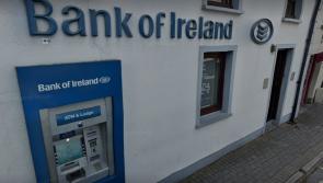 Laois Offaly Green Party Minister suggest change must be explored after bank branch axing