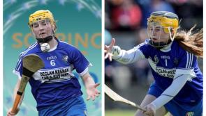 Laois  'Soaring Stars'  winners at Camogie Awards are the pride of Laois