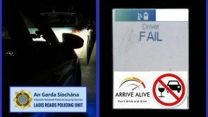 Driver failed alcohol test after reversing onto major Laois road