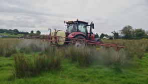 Farmers, gardeners and groundskeepers urged to cut back on pest poison use in Laois