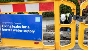 Nearly a kilometre of leaking  Laois water mains have to be replaced in Electric Picnic town 