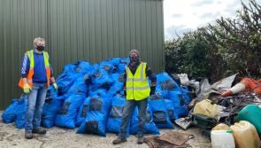 Laois autumn blitz in battle on dumping