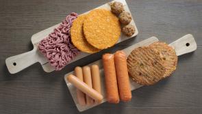 New safefood report reveals 1 in 4 vegetarian meat substitute products are not a source of protein