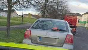 Sharp Laois Gardaí arrested man wanted in Eastern Europe