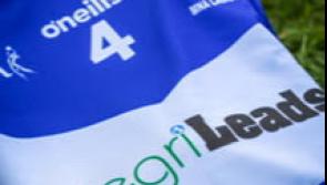 Laois lose narrowly but league semi final berth assured