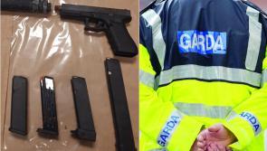 Gardaí seize gun, magazines, ammunition, a silencer and €5,000 worth of suspected cocaine in search