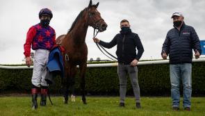Laois trainer guides horse to maiden win in Tipperary