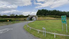 Repairs plea made for landmark Laois bridge near busy road