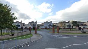 Anti-social behaviour escape tunnel in Laois housing estate
