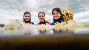 Laois students encouraged to enter BT Young Scientist & Technology Exhibition 2022
