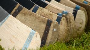Non-playing panel members to attend inter-county fixtures as challenge games given green light