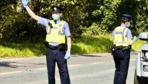 Garda appeal launched after  woman killed on road while walking 