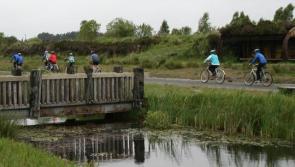 Laois Offaly Minister of State dismisses allegations of Bord na Móna misconduct over Lough Boora