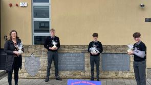 Savvy young Laois entrepreneurs from Portlaoise school win national award