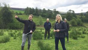 Regenerative Tourism is 'not rocket science'  for Laois and Midlands