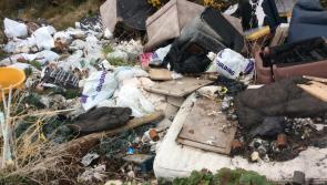 Laois councillor points finger at Tipperary for 'dreadful' dumping