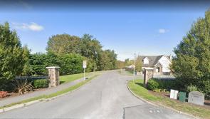 Cars 'flying ' where children are playing in Laois estate with 30km limit