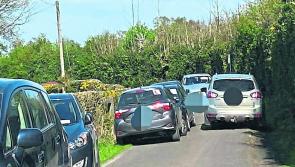 Slieve Bloom private car park  plan  stalled by nature study