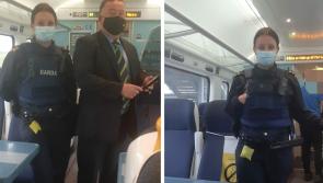 Laois Gardaí take to the tracks to tackle train thugs