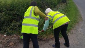 Are there too many entry 'requirements'? Laois village pull out of Tidy Towns over obligations