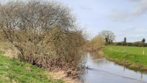 Potential for Laois riverside walk to be explored