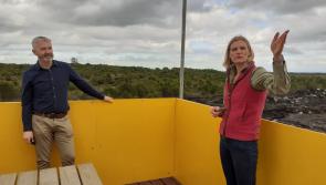 Midlands wind farm on former bog will deliver 'jobs, energy and amenity' claims Laois Offaly Minister